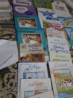 Grade 2 full course of BSS sindh 0