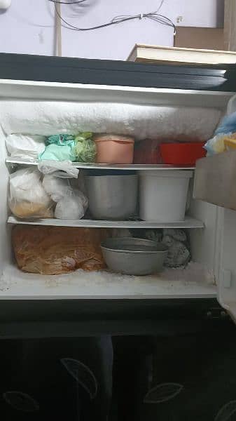 PEL Fridge 2