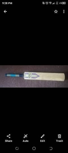 cricket bat