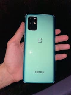 one plus 8T