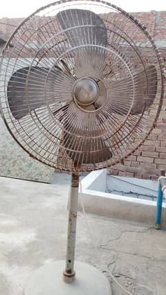 fan