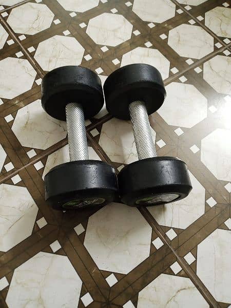 Gym Dumbbell 2