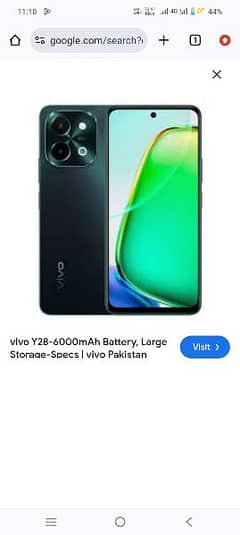 vivo