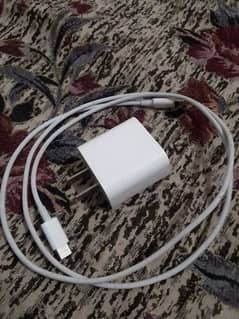 Iphone charger