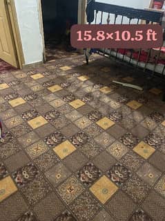 1 carpet full bare size k condition new