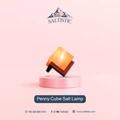 Penny cube salt lamp