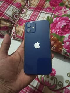 iphone 12    10 /10 condition  non pta phone