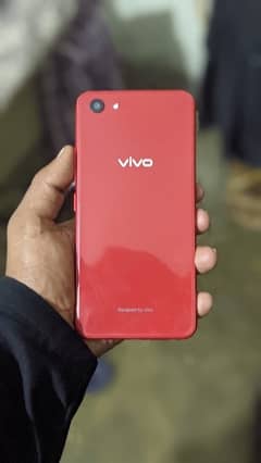 Vivo