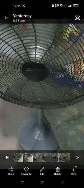 24 inch pak pedestal fan in excellent condition 2