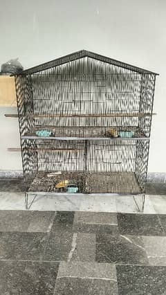Bird Cage With Lovebirds