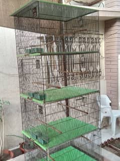 love birds cage