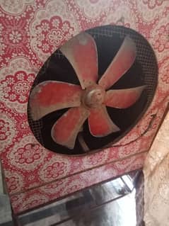 air cooler