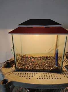 fish aquarium 2.5 ft almost new he