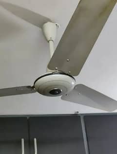 PAK FAN CEILING FAN