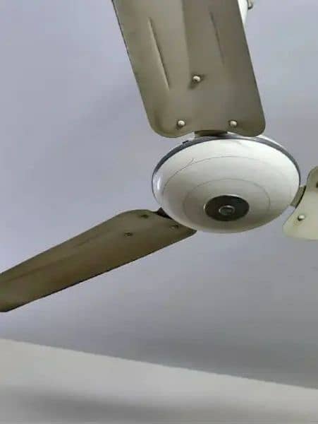 PAK FAN CEILING FAN 1