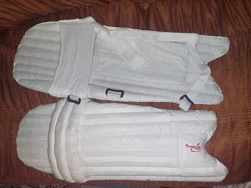 Hard Ball Cricket Kit with KookaBurra Kit Bag 2