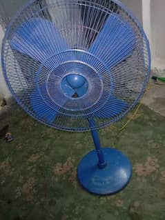 fan