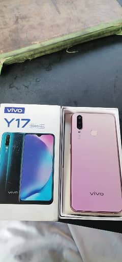 Vivo