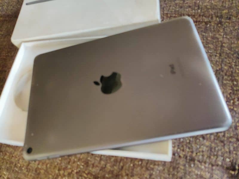 iPad mini 5 1