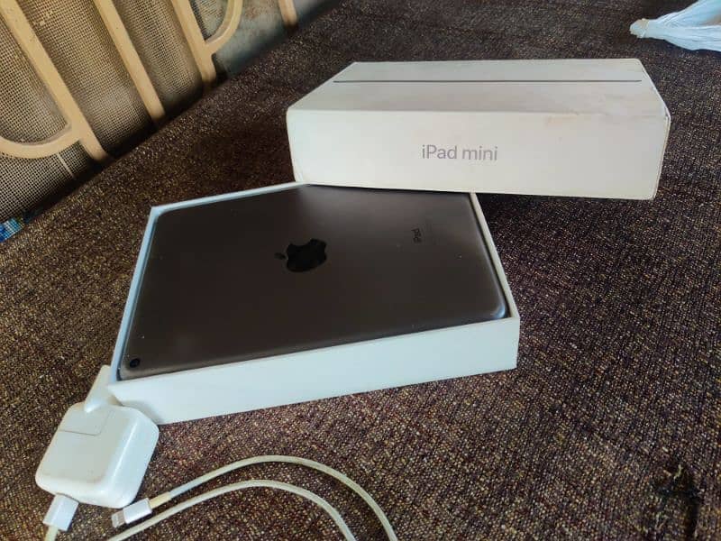 iPad mini 5 6