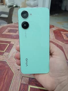 vivo