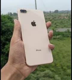 iphone 8 plus pta approved with box read add plz