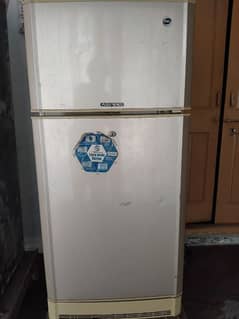 pel fridge available for sale