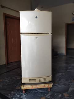 Medium size Pel Refrigerator