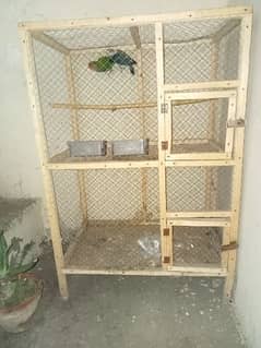 Pair for sale urgent sale Cage bi Sath hi milye ga