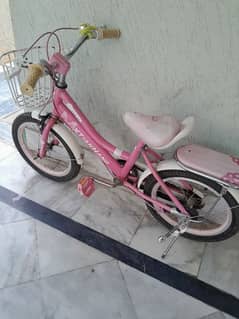 Bicycle for sale