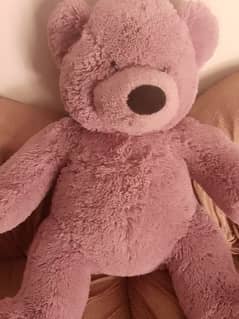 sale teddy bear