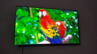 TCL LED