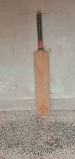 cricket bat