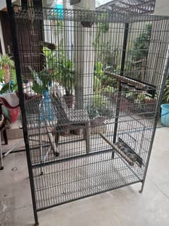 Cage for sale