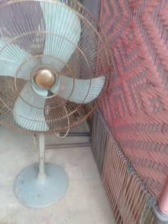 Fan for sale