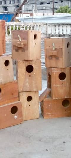 Keekar breding boxes lovebirds Size