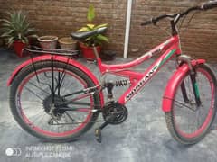 Sports/ Mountain Bicycle 26 inches