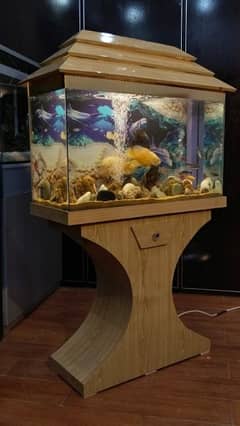 Wooden Aquarium