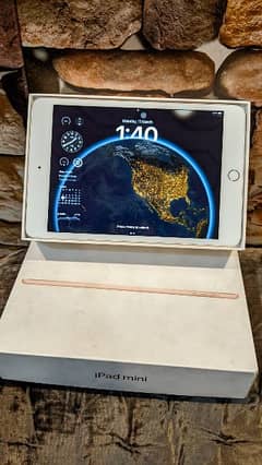 ipad mini 5 64GB complete box