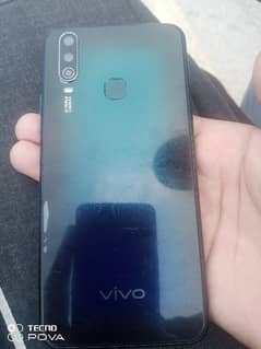 vivo