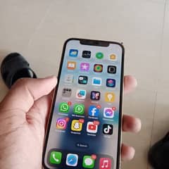 i phone 12pro 256gb factory unlocked golden clour total orginal