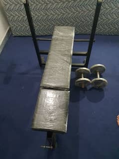 GYM BENCH WITH DUMBELLS