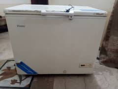 haier deep freezer