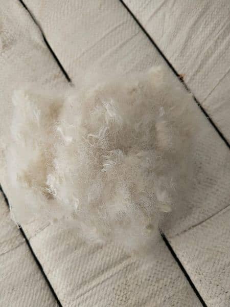 laacha polyester fiber for pillow, caution, blanket 1