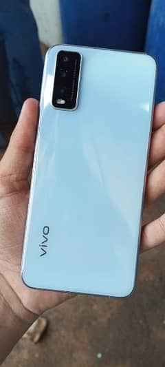 Vivo