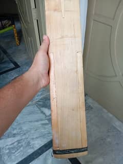 hardball bat for sale