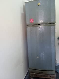 Large Size PELL 2 Door Fridge