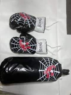 Boxing gloves and bag