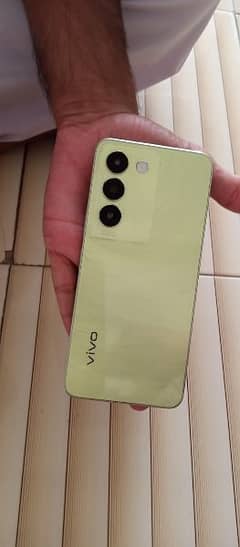 ViVO