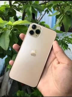 iphone 11 pro golden 256 gb demand 55000